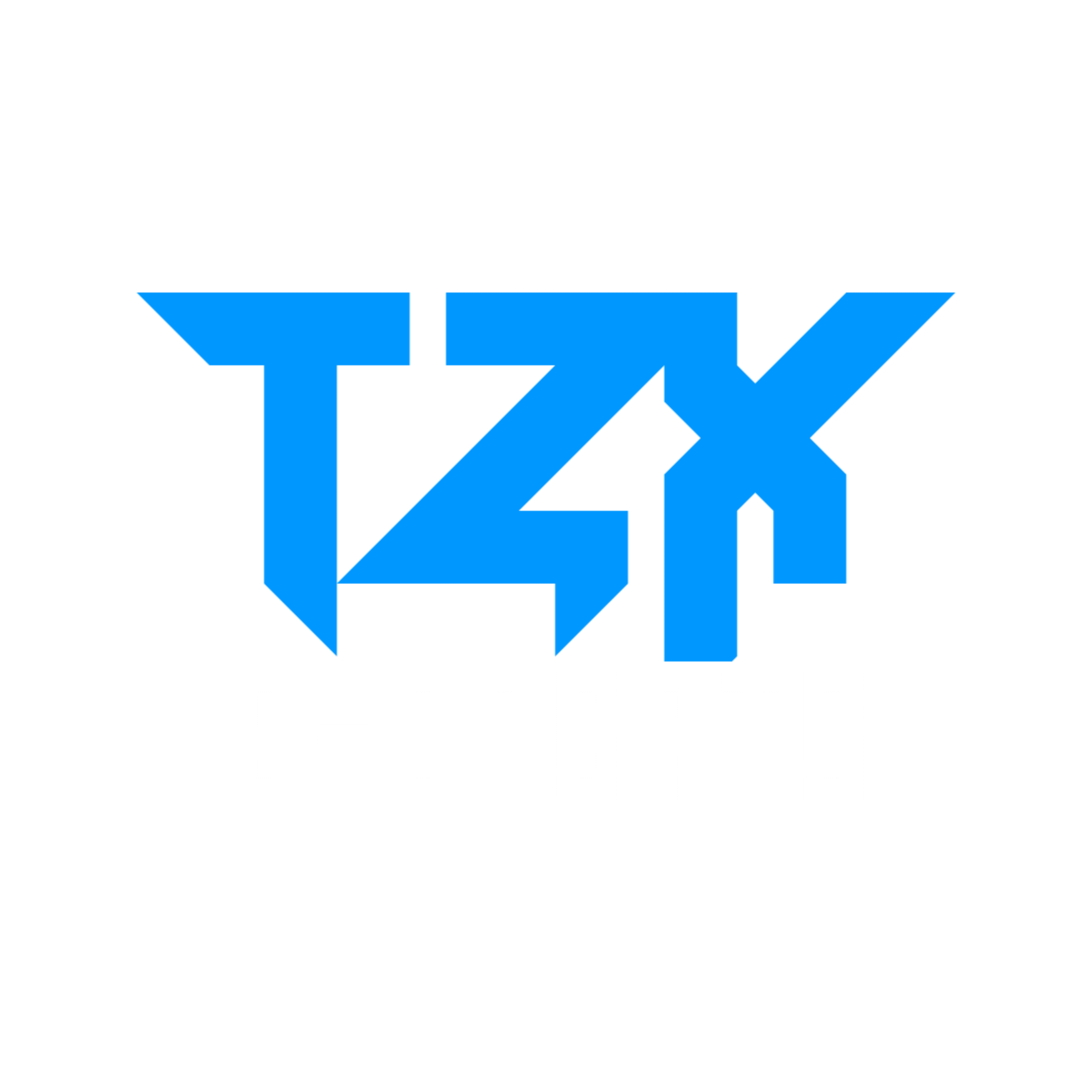 TryZoneX Loading Logo